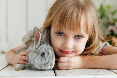 Child with family pet rabbit
