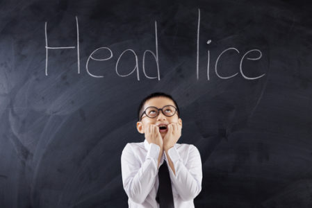 head lice education