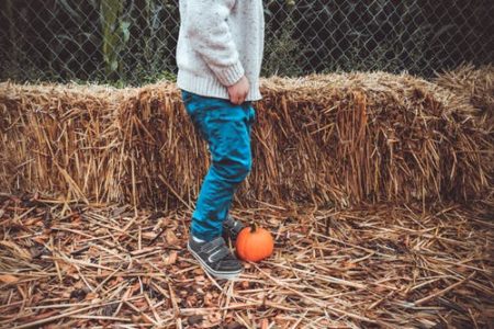 Hayride At the Pumpkin Patch